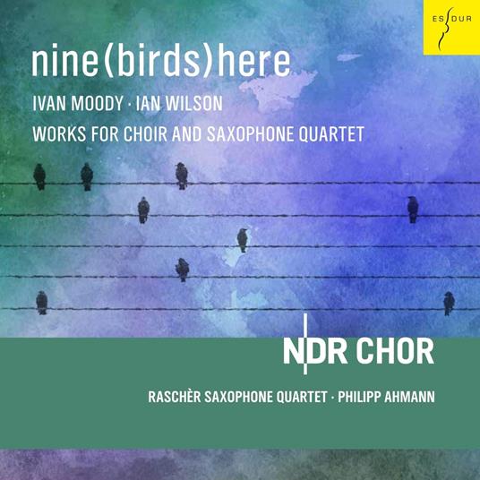 Nine(Birds)Here - CD Audio di Philipp Ahmann