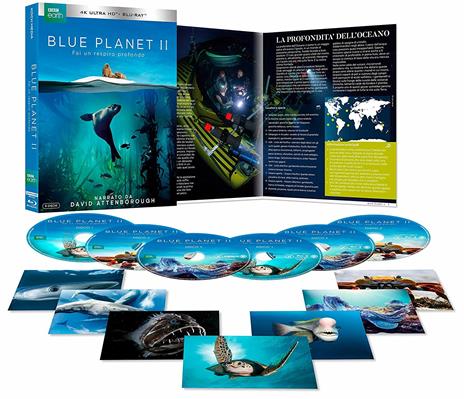 Blue Planet II (Blu-ray + Blu-ray Ultra HD 4K) di David Attenborough,Peter Drost,Roger Munns,François Morel - Blu-ray + Blu-ray Ultra HD 4K - 4