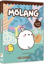 Molang. Nel bosco (DVD)