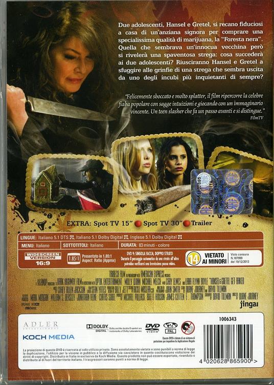 Hansel e Gretel e la strega della foresta nera - DVD - Film di Duane  Journey Commedia | IBS