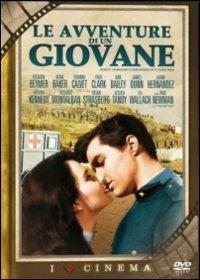 Le avventure di un giovane (DVD) di Martin Ritt - DVD