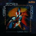 Trii con pianoforte - CD Audio di Antonin Dvorak,Joaquin Turina,Hermann Zilcher,Turina Trio