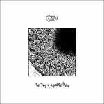 The Fury of a Patient Man (180 gr.) - Vinile LP di Gozu