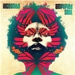 Amplifield Soul - Vinile LP di Incognito