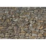 Komar Fotomurale Stone Wall 368x254 cm 8-727