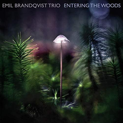 Entering the Woods - Vinile LP di Emil Brandqvist