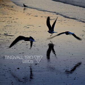 Birds - Vinile LP di Tingvall Trio