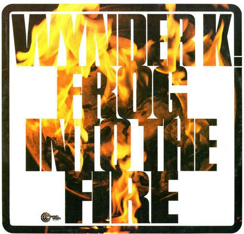 Into the Fire - Vinile LP di Wynder K. Frog