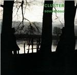 Sowiesoso - CD Audio di Cluster