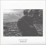 Whelm - CD Audio di Douglas Dare