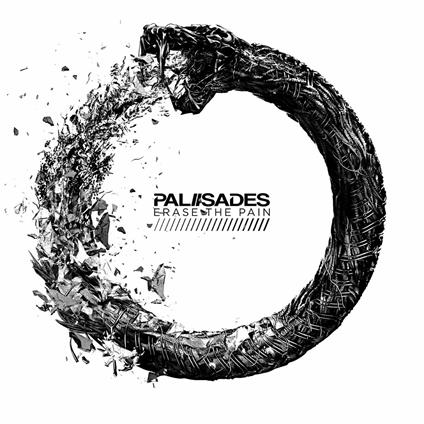 Erase the Pain - Vinile LP di Palisades