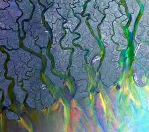 An Awesome Wave (White Vinyl Ltd. Edition) - Vinile LP di Alt-J