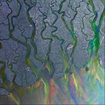 An Awesome Wave - Vinile LP di Alt-J