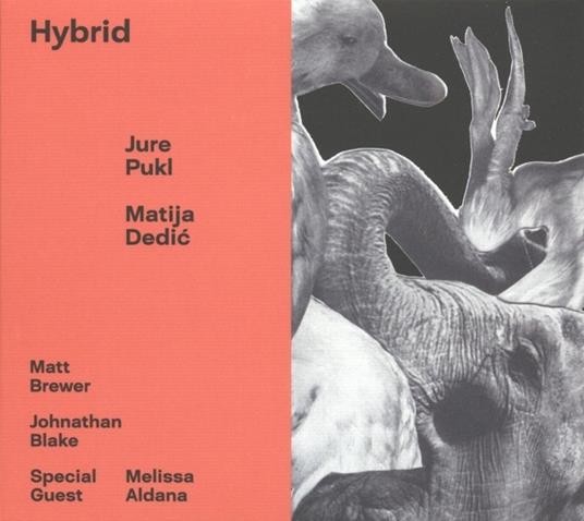 Hybrid - CD Audio di Jure Pukl & Matija Dedic