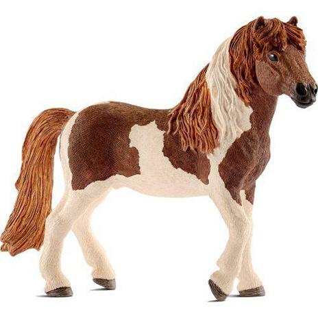 Stallone Di Pony Islandese Schleich