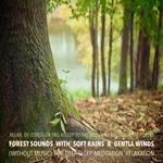 Forest Sounds with Soft Rains & Gentle Winds (without music) for Deep Sleep, Meditation, Relaxation