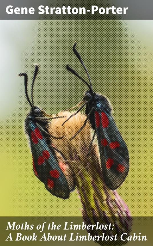 Moths of the Limberlost: A Book About Limberlost Cabin