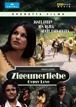 Die Dollarprinzessin (DVD)