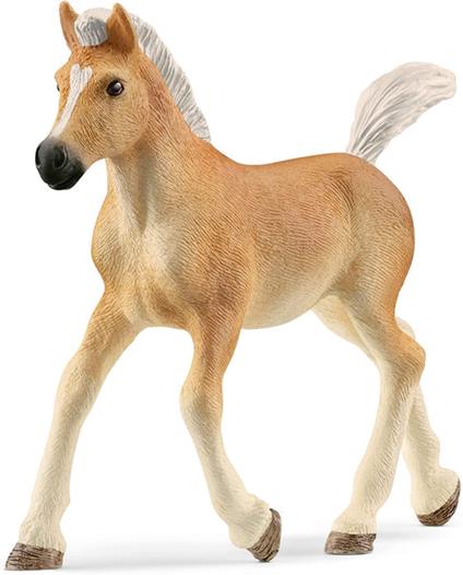 Puledro Avelignese Schleich (13951)