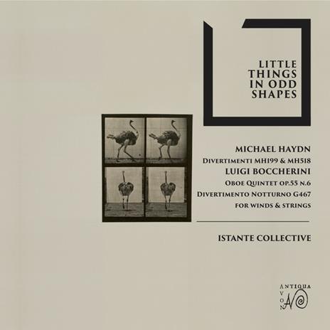Little Things in Odd Shapes - CD Audio di Istante Collective