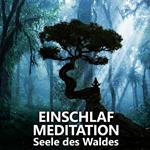 Einschlafmeditation | Seele des Waldes