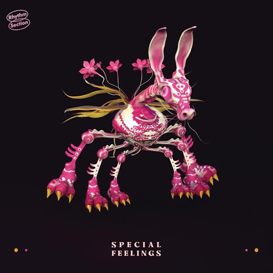 Special Feelings - Vinile LP di Special Feelings