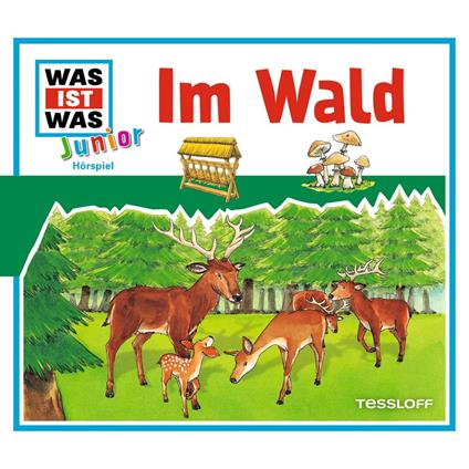 11: Im Wald