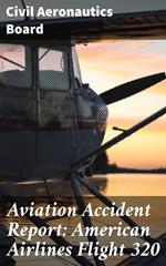 Aviation Accident Report: American Airlines Flight 320