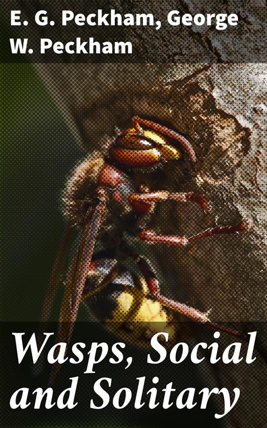 Wasps, Social and Solitary