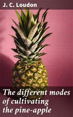 The different modes of cultivating the pine-apple