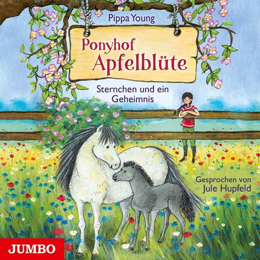 Ponyhof Apfelblüte. Sternchen und ein Geheimnis [Band 7]