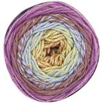 Pallone di cotone autunnale - ricorumi spin dk 50 GR