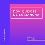 Don Quijote de la Mancha (Completo)