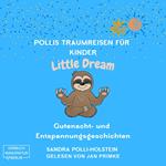 Pollis Traumreisen für Kinder - Little Dream (ungekürzt)