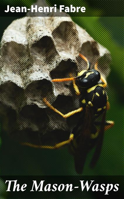 The Mason-Wasps