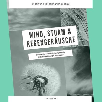 Wind, Sturm & Regengeräusche: Beruhigende, wohltuende Naturgeräusche für Stressbewältigung & Stressabbau