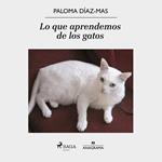 Lo que aprendemos de los gatos