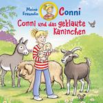 Conni und das geklaute Kaninchen