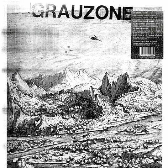 Raum - Vinile LP di Grauzone