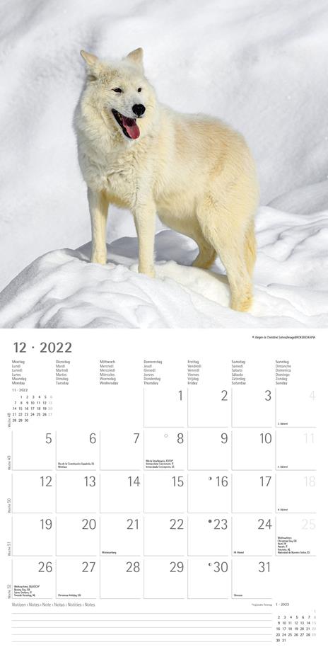 Calendario 2022 da muro Alpha Edition, Lupi, 12 mesi, 30x30 cm - 14