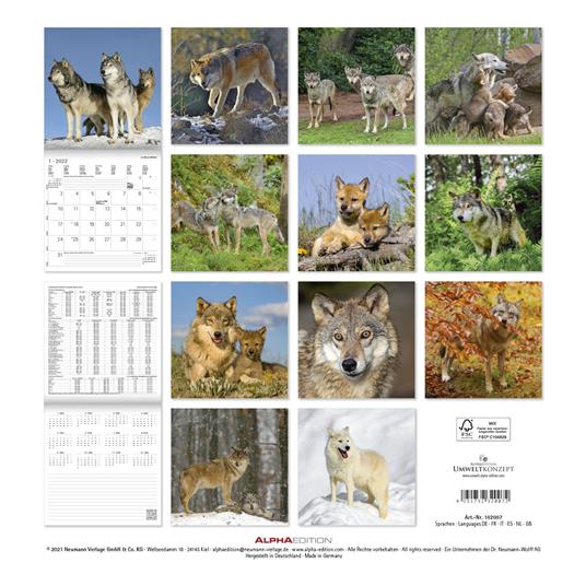 Calendario 2022 da muro Alpha Edition, Lupi, 12 mesi, 30x30 cm - 15