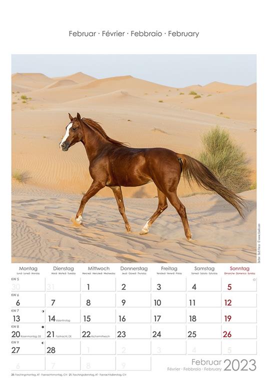 Calendario 2023 da muro Cavalli, Alpha Edition, 12 mesi, 23x34 cm - 3