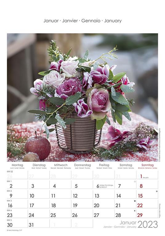 Calendario 2023 da muro Rose Dreams, Alpha Edition, 12 mesi, 23x34 cm - 2