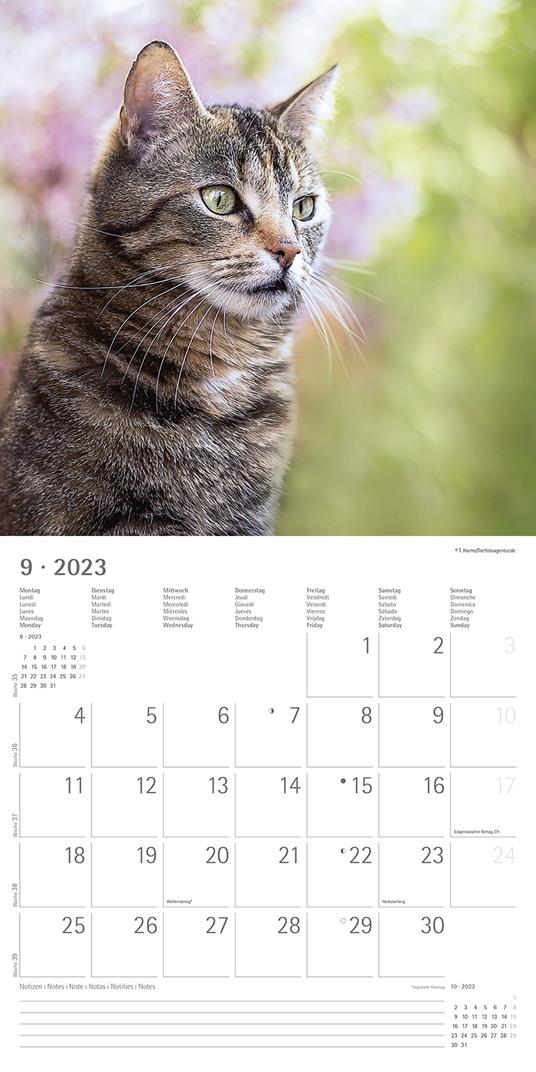 Calendario Legami 2023, Kittens - 30 x 29 cm - Legami - Cartoleria e scuola