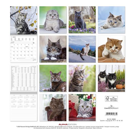 Calendario Da Parete 30x29 Special Edition Me&you