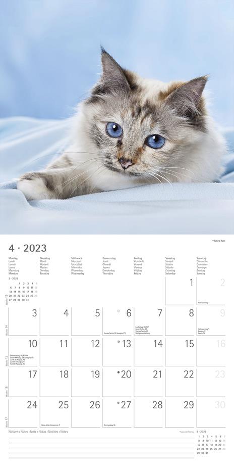 Calendario 2023 da muro Gatti, Alpha Edition, 12 mesi, 30x30 cm - 6