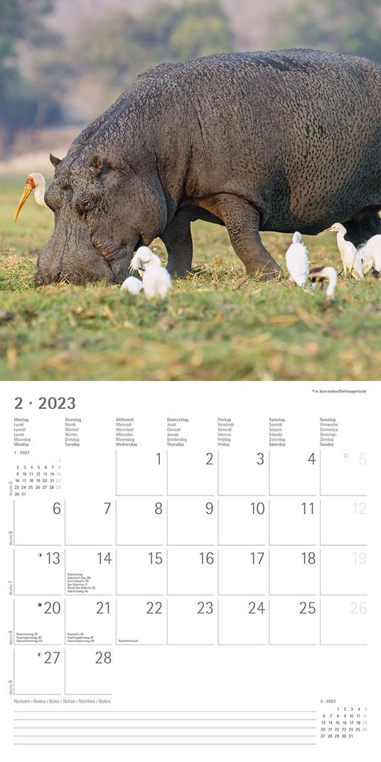 Calendario 2023 da muro Animal Friendship, Alpha Edition, 12 mesi