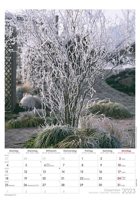 Calendario 2023 da muro Beautiful Gardens, Alpha Edition, 12 mesi, 29,7 x 42 cm - 13