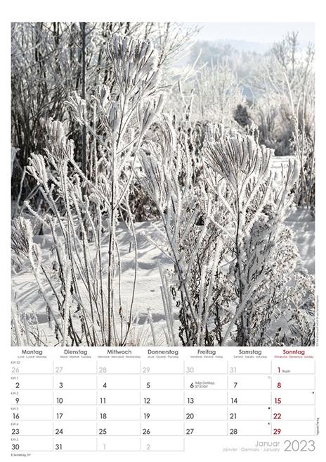 Calendario 2023 da muro Beautiful Gardens, Alpha Edition, 12 mesi, 29,7 x 42 cm - 2