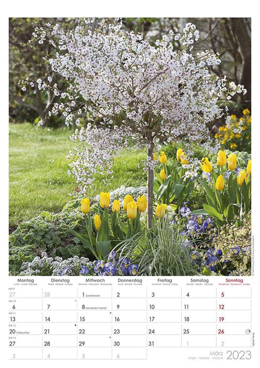 Calendario 2023 da muro Beautiful Gardens, Alpha Edition, 12 mesi, 29,7 x 42 cm - 4